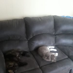 Meet your Posher, Darrin